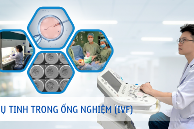 thụ tinh trong ống nghiệm (ivf)
